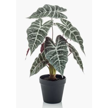 Alocasia Sanderiana artificial UTHER, verde-blanco, 40cm Alocasia Sanderiana artificial UTHER, verde-blanco, 40cm