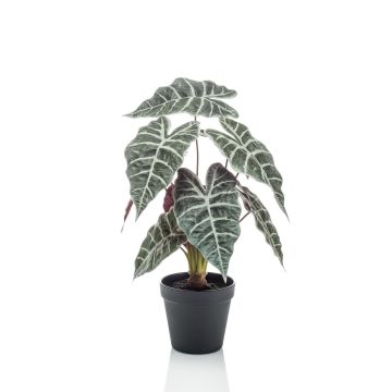 Alocasia Sanderiana artificial UTHER, verde-blanco, 40cm
