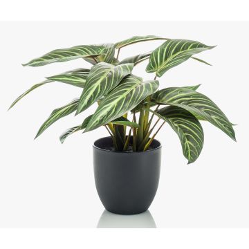 Calathea Zebrina artificial VAIDA en maceta decorativa, verde-blanco, 40cm