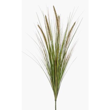 Pennisetum artificial YWAIN, panículas, varilla de ajuste, beige-verde, 70cm Pennisetum artificial YWAIN, panículas, varilla de ajuste, beige-verde, 70cm