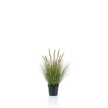 Pennisetum artificial YWAIN con pan&iacute;culas, beige-verde, 60cm