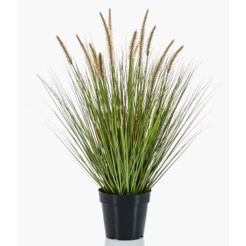 Pennisetum artificial YWAIN con panículas, beige-verde, 70cm Pennisetum artificial YWAIN con panículas, beige-verde, 70cm