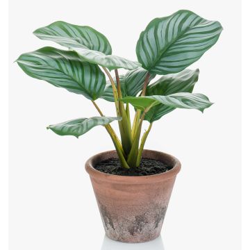 Calathea Orbifolia artificial ESMIE en maceta de terracota, verde-blanco, 30cm
