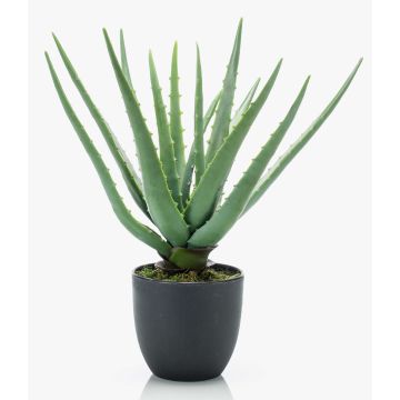 Aloe Vera artificial EVELIO en maceta decorativa, 35cm