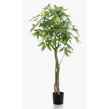 Pachira artificial HARUKI, troncos artificiales, 150cm