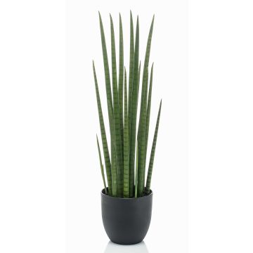Sansevieria Cylindrica artificial KICHIRO en maceta decorativa, verde, 70cm
