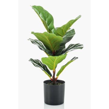 Ficus Lyrata artificial EMILIANA, verde, 55cm