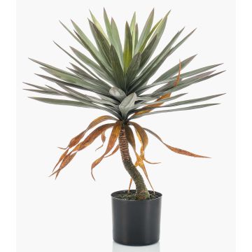 Yuca artificial KOUKI, 75cm