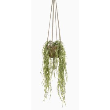 Cesta colgante artificial hoya linearis MIKI, maceta de terracota, verde, 85cm
