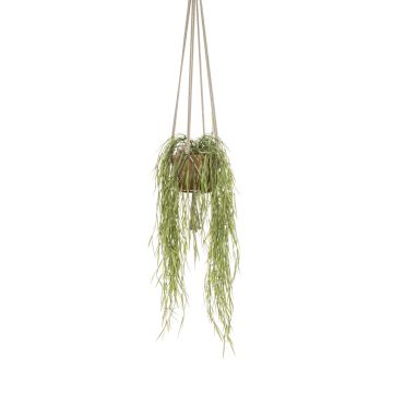 Cesta colgante artificial hoya linearis MIKI, maceta de terracota, verde, 85cm