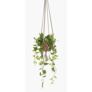 Cesta colgante de filodendro artificial RUESCA, maceta de terracota, 90cm