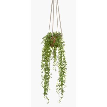 Cesta colgante de ficus pumila artificial AMADOR, maceta de terracota, verde, 100cm
