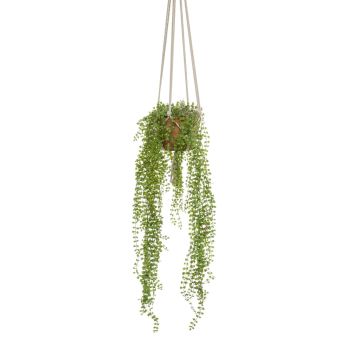 Cesta colgante de ficus pumila artificial AMADOR, maceta de terracota, verde, 100cm