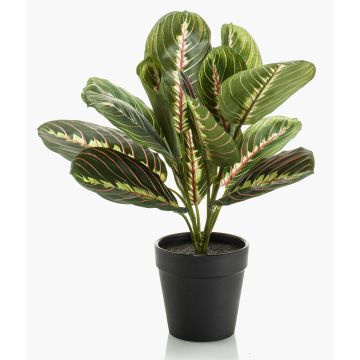 Maranta artificial SITULA, verde-rojo, 30cm
