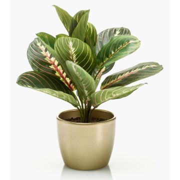 Maranta artificial SITULA en maceta de cerámica dorada, verde-rojo, 30cm