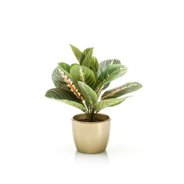 Maranta artificial SITULA en maceta de cerámica dorada, verde-rojo, 30cm