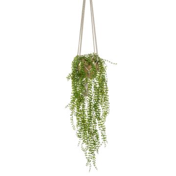 Cesta colgante de ficus pumila artificial AMADOR, maceta de cerámica dorada, verde, 100cm