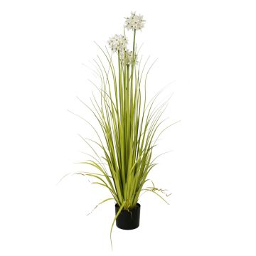 Hierba de allium artificial ASIMDA, blanco, 120cm