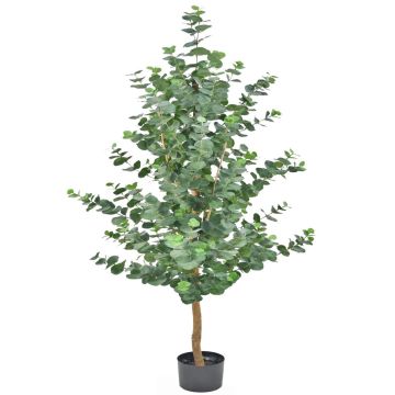 Árbol de eucalipto artificial WEONFYN, tronco artificial, verde, 180 cm Árbol de eucalipto artificial WEONFYN, tronco artificial, verde, 180 cm