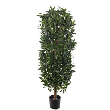 Columna de laurel artificial UNUK, tronco real, 140cm