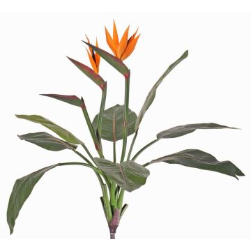 Strelitzia artificial NUBIA en varilla de ajuste, naranja-violeta, 70cm, 17x22cm Strelitzia artificial NUBIA en varilla de ajuste, naranja-violeta, 70cm, 17x22cm