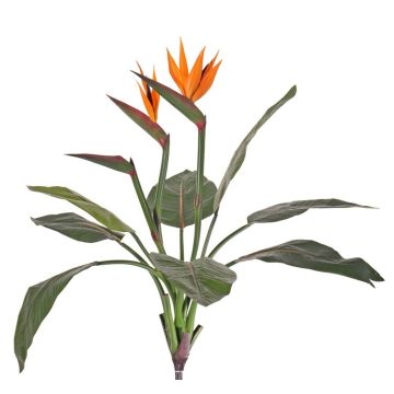 Strelitzia artificial NUBIA en varilla de ajuste, naranja-violeta, 70cm, 17x22cm Strelitzia artificial NUBIA en varilla de ajuste, naranja-violeta, 70cm, 17x22cm