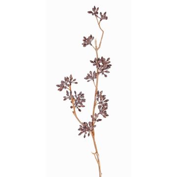 Rama artificial de eucalipto SOHA con frutos, marrón, 60cm Rama artificial de eucalipto SOHA con frutos, marrón, 60cm