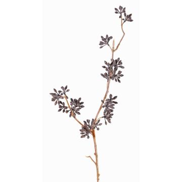 Rama artificial de eucalipto SOHA con frutos, marrón oscuro, 60cm Rama artificial de eucalipto SOHA con frutos, marrón oscuro, 60cm