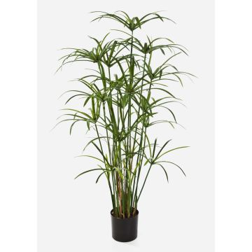 Papyrus artificial ALBY, verde, 125cm