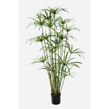 Papyrus artificial ALBY, verde, 155cm