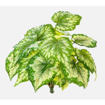 Begonia rex artificial BEVEN en varilla de ajuste, verde-amarillo, 35cm