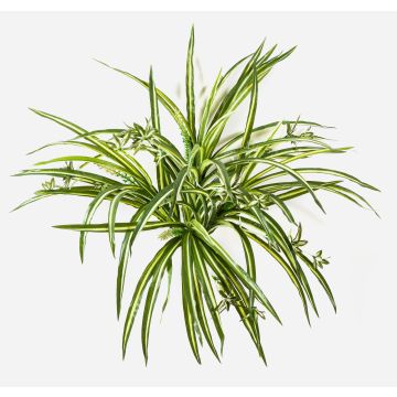 Cintas de plástico KOCHAB, en varilla de ajuste, verde-amarillo, 55cm Cintas de plástico KOCHAB, en varilla de ajuste, verde-amarillo, 55cm