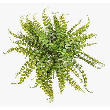 Helecho botón artificial IMAI en varilla de ajuste, verde, 40cm, Ø50cm