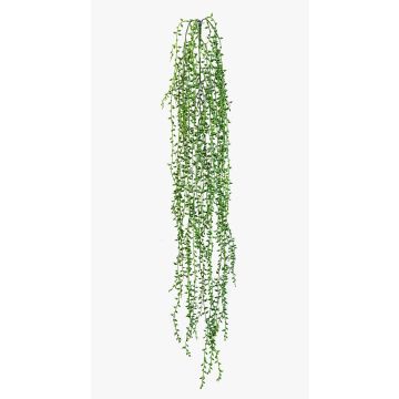 Senecio artificial colgante FANJA en varilla de ajuste, verde, 85cm