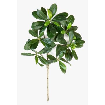Rama artificial de pittosporum MASON, difícilmente inflamable, 40cm