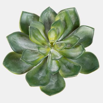 Echeveria pelusida artificial CURSA en varilla de ajuste, verde, 15cm