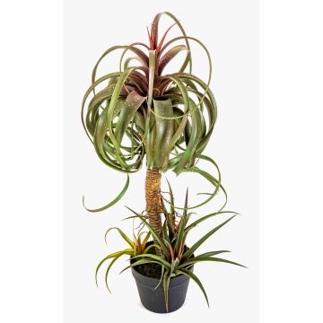 Tillandsia streptophylla artificial ELGAFAR, verde-rojo, 80cm