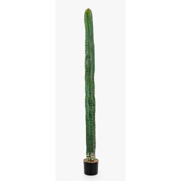 Cactus columna artificial ELKURUD, verde-rojo, 180cm