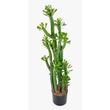 Euphorbia royleana artificial GACRUX, verde, 120cm