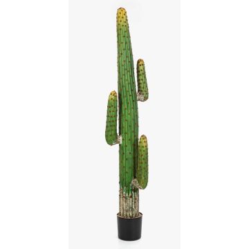 Cactus columna artificial GOMEISA, verde-rojo, 170cm