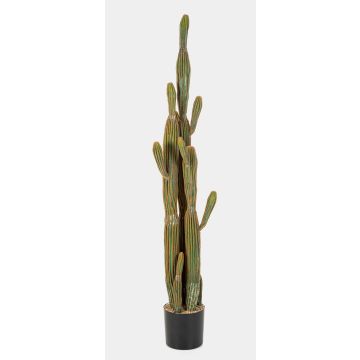 Cactus artificial San Pedro GRUMIUM, verde-marrón, 150cm