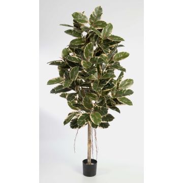 Árbol de caucho artificial DEVI, tronco natural, verde-blanco, 140cm