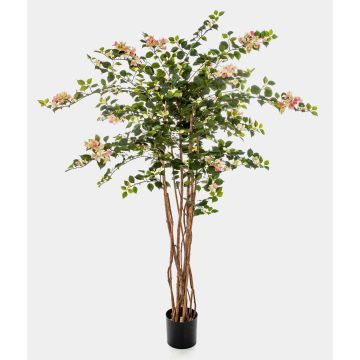 Bougainvillea artificial OGMA, troncos naturales, flores, amarillo-rosa, 150cm