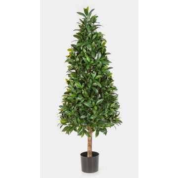 Pirámide de laurel artificial MATAR, tronco natural, zona de tránsito, 140cm