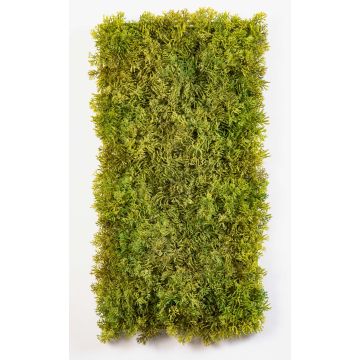 Estera de musgo islandés MUSCIDA, verde-marrón, difícilmente inflamable, 25x50cm