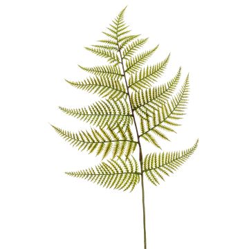 Hoja de helecho espada artificial MBALI, verde, 80cm