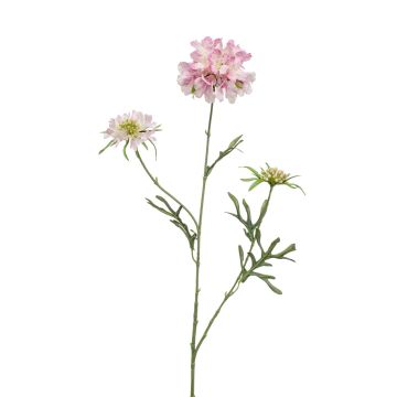 Scabiosa artificial MARUA, rosa, 80cm