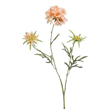Scabiosa artificial MARUA, melocotón, 80cm
