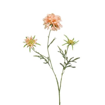 Scabiosa artificial MARUA, melocotón, 80cm