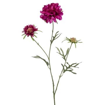 Scabiosa artificial MARUA, violeta, 80cm
